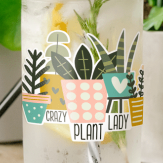 Close up of a mason jar tumbler that has various potted plants, and “crazy plant lady” written.