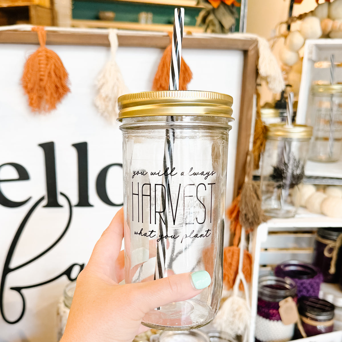 Harvest What You Plant Mason Jar Tumbler