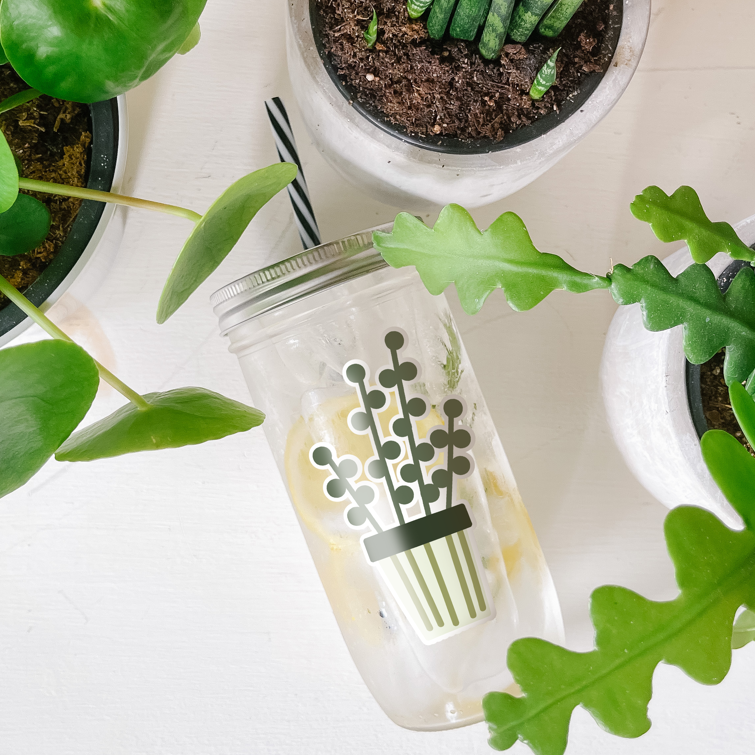 Tumbler with water inside and a sticker of a potted plant printed on it. Photographed as a flat lay in a white background and some potted plants.