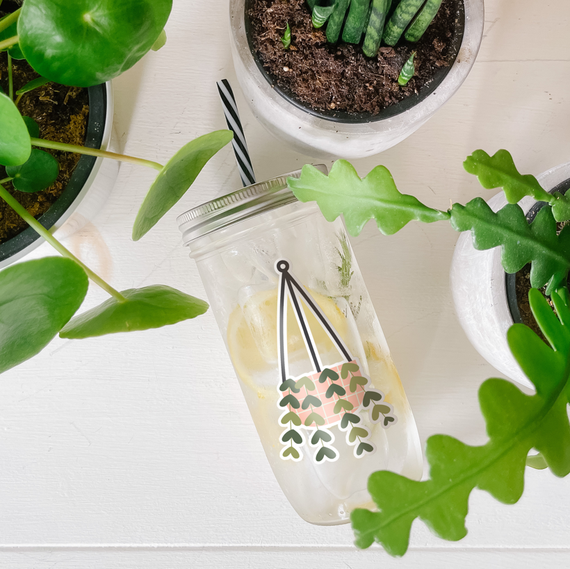 Tumbler with water inside and a sticker of a hanging plant printed on it. Photographed as a flat lay in a white background and some potted plants.