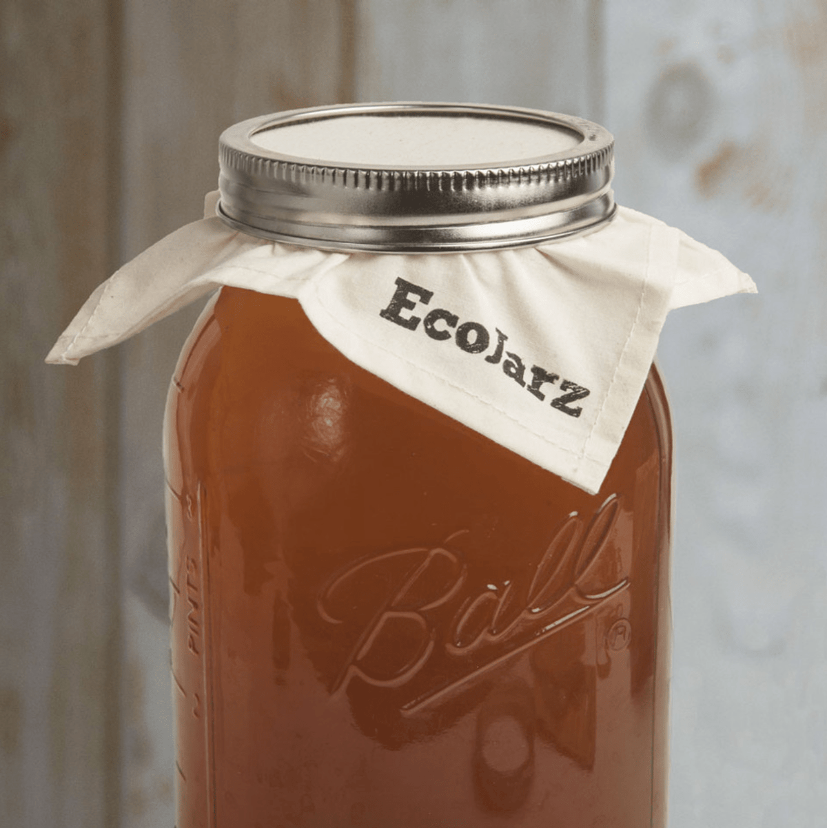 EcoJarz Stainless Wide Mouth Fermenter Kit