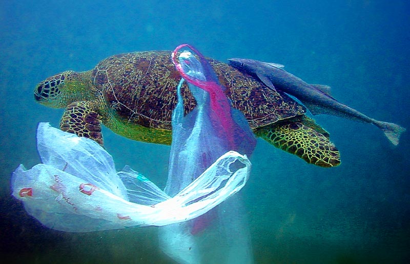 4 Easy Ways to Reduce Plastic Use