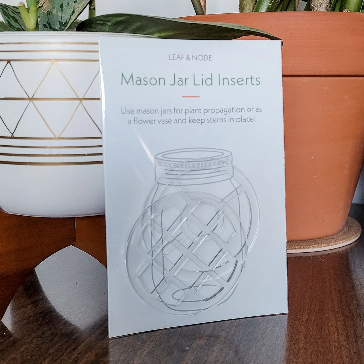 Leaf &amp; Node Mason Jar Lid Inserts for Plant Propagation and Flower Arranging