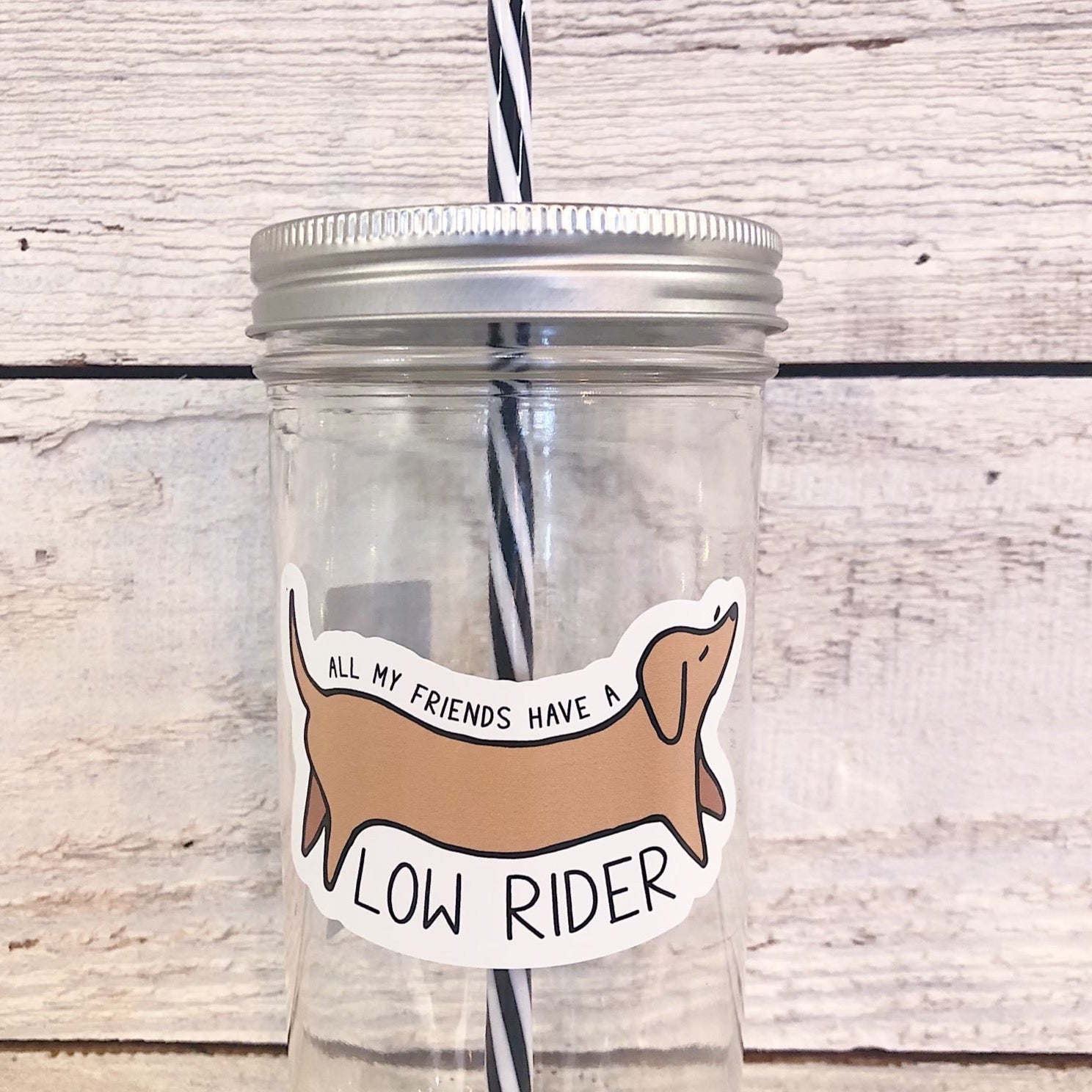 A mason jar tumbler that has a cartoon image of a Weiner dog that says “all my friends have a low rider”