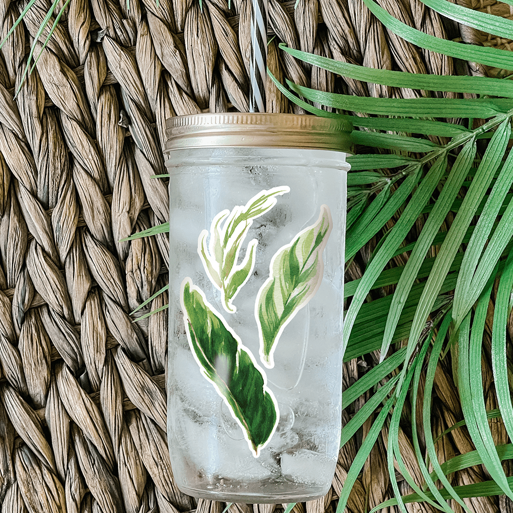Tumbler with water and different kinds of palm leaves graphic stickers. Photographed as a flat lay in a winnowing tray with palm leaves.