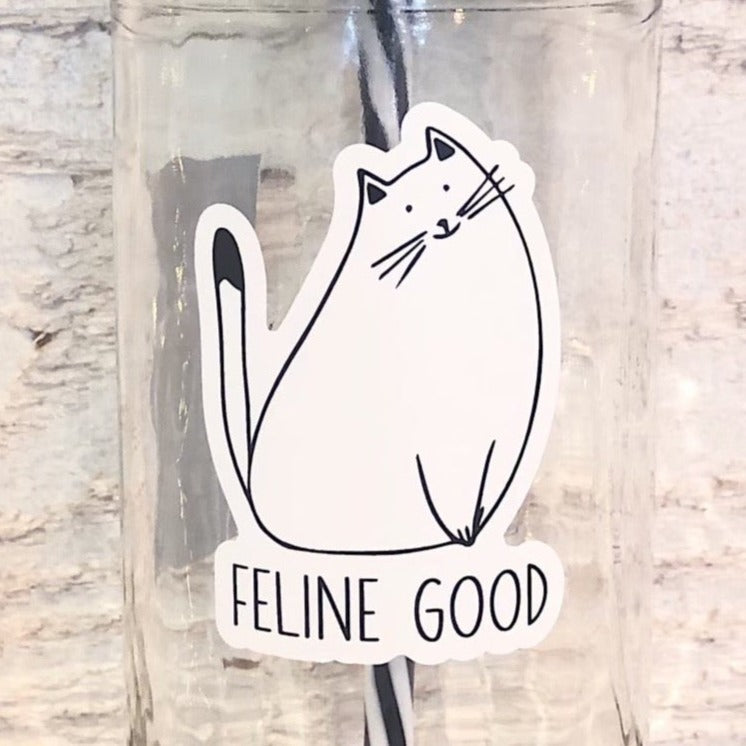 Flat lay of a mason jar tumbler that says “feline good”, a white straw lid with black outlines of cats repeating, and a black and white striped straw. 