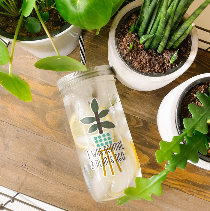 I Was Normal Three Plants Ago Mason Jar Tumbler