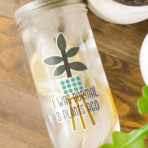 Tumbler with water inside and a sticker of a plant in a white pot with blue polka dots design printed on it, and the pot is on a plant stand. There is also a print that reads "I Was Normal 3 Plants Ago." Tumbler is photographed as a flat lay on a wooden table with some potted plants surrounding it.