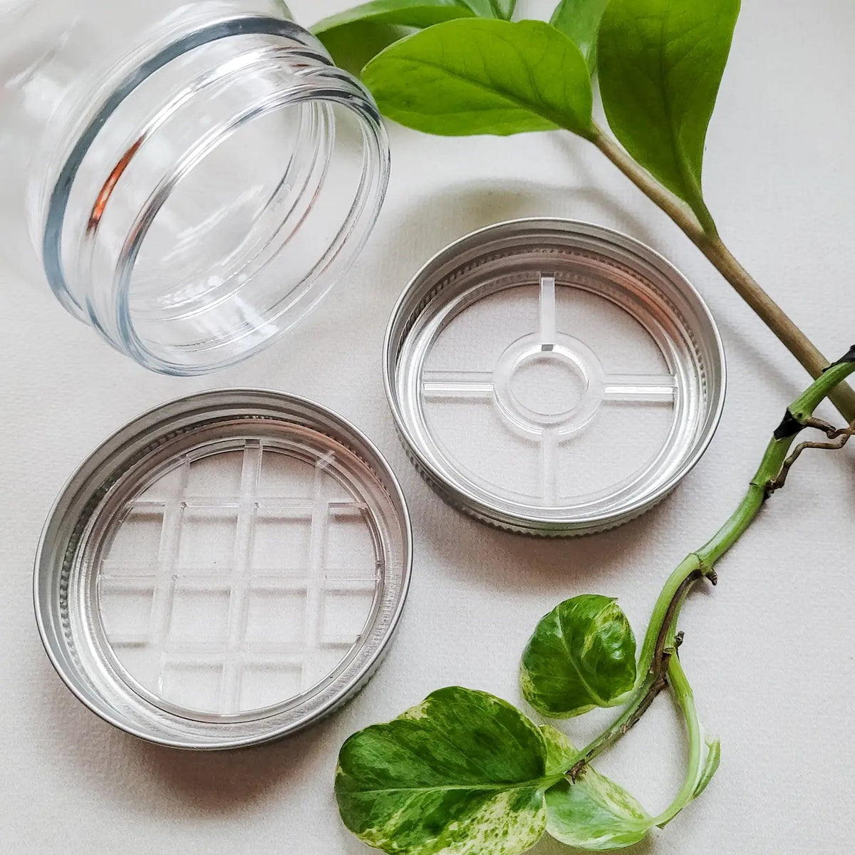 Leaf & Node stainless steel mason jar lid inserts for plant propagation on white background