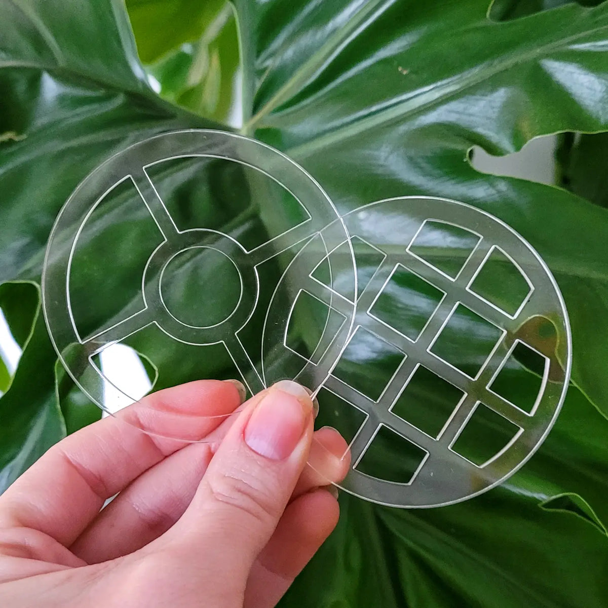 Leaf &amp; Node Mason Jar Lid Inserts for Plant Propagation and Flower Arranging