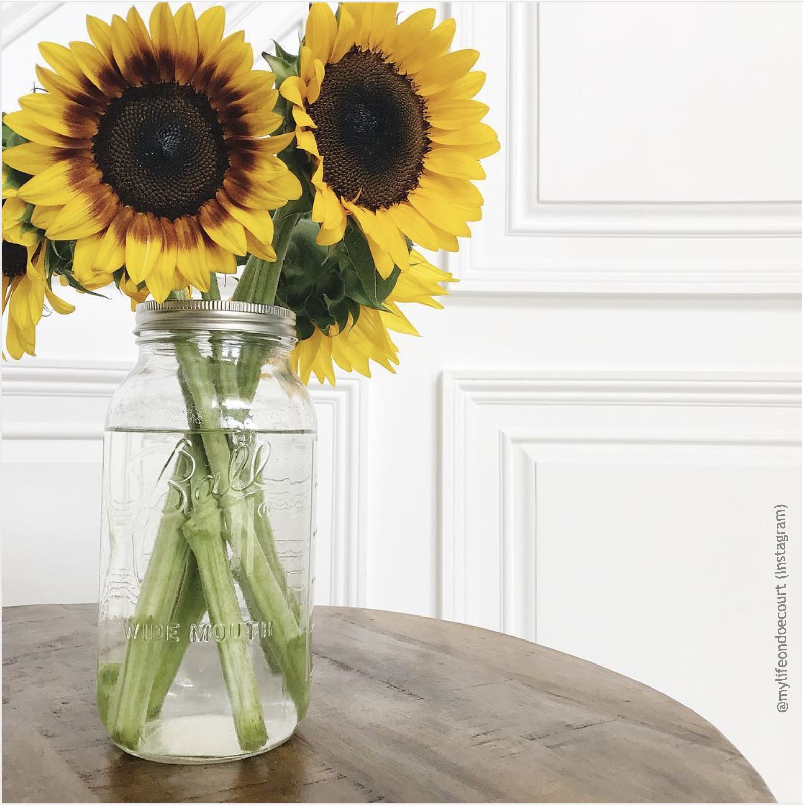Wide mouth half-gallon mason jar with Ball Wide mouth logo, and fruity oval design visible on the back side of the jar. against a white background