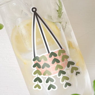Tumbler with water inside and a sticker of a hanging plant printed on it. Photographed as a flat lay in a white background and some potted plants.