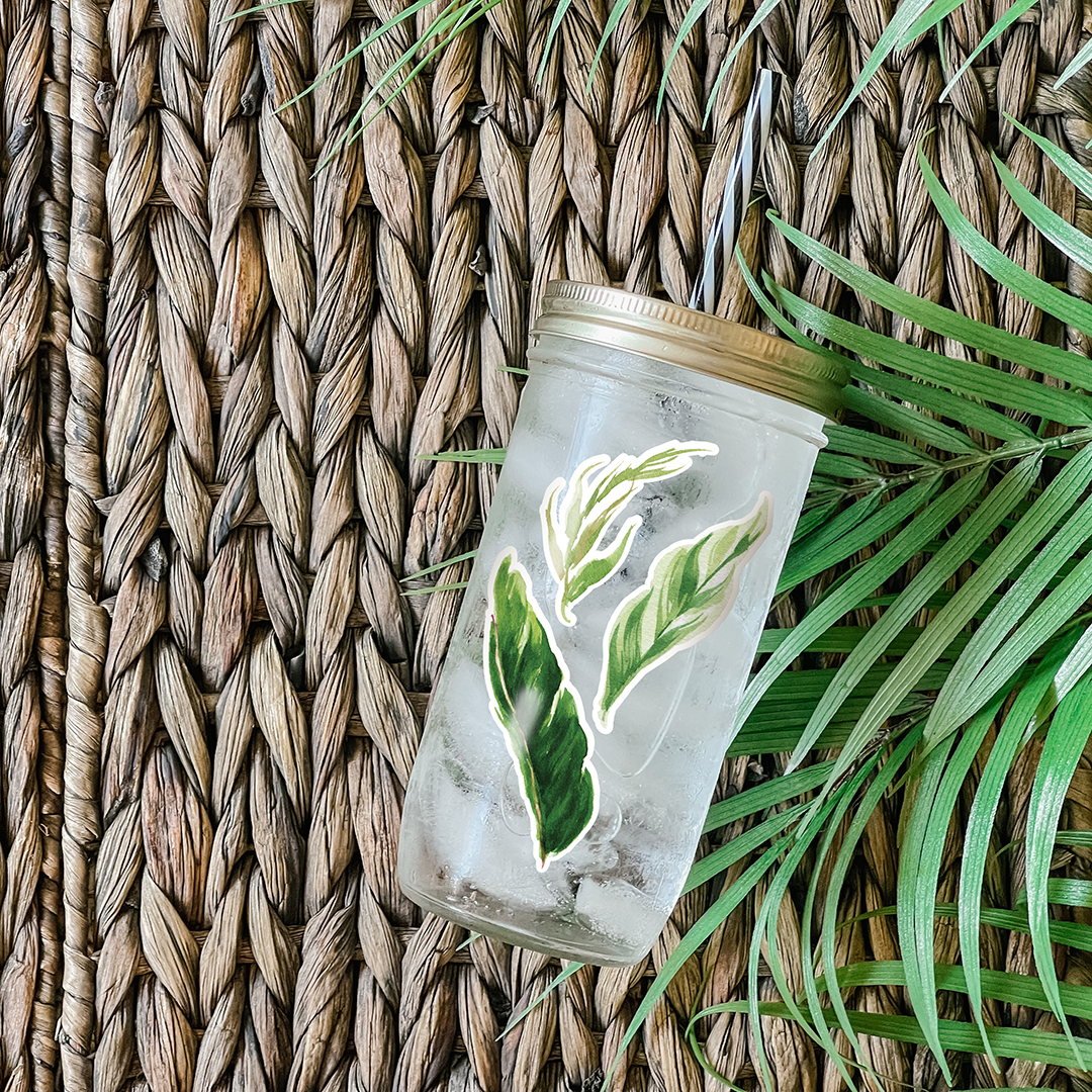 Tumbler with water and different kinds of palm leaves graphic stickers. Photographed as a flat lay in a winnowing tray with palm leaves.