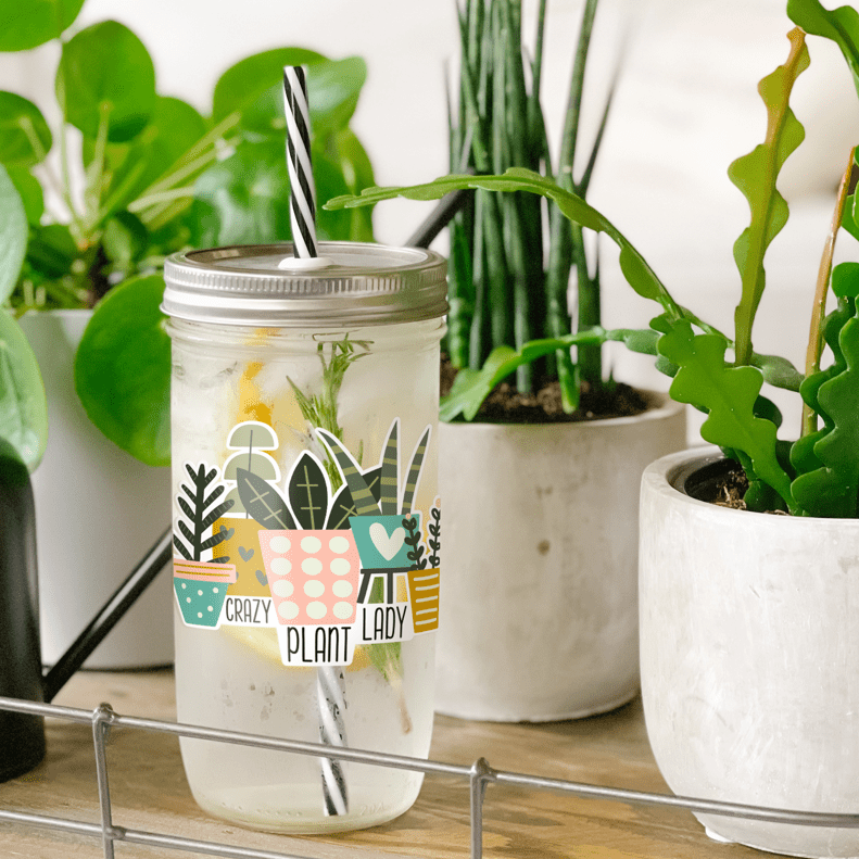Tumbler with water inside and a sticker of various potted plants printed on it. There is also a print that reads "Crazy Plant Lady." Tumbler is photographed standing on a wooden table with some potted plants surrounding it.