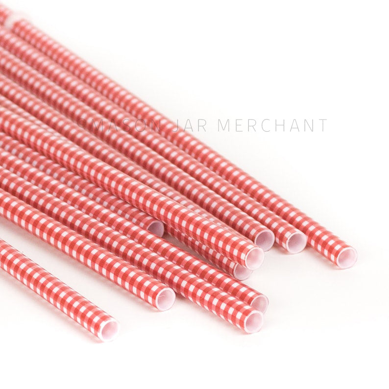 Red gingham  patterned BPA-free reusable plastic straw against a white background