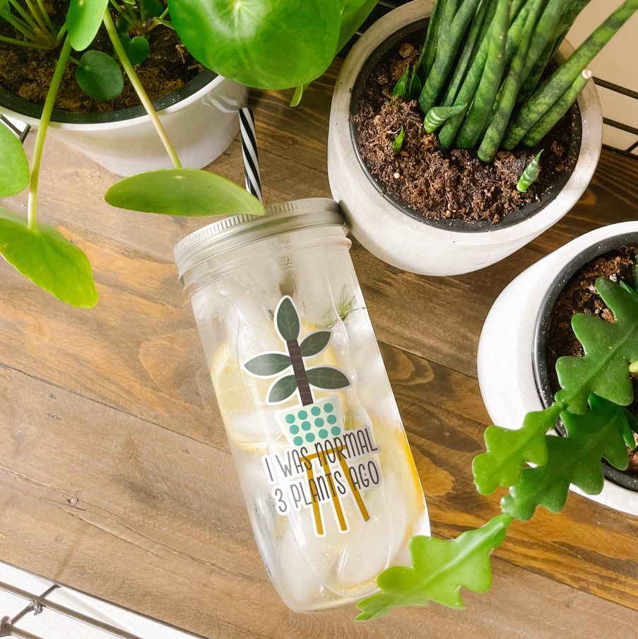 Tumbler with water inside and a sticker of a plant in a white pot with blue polka dots design printed on it, and the pot is on a plant stand. There is also a print that reads "I Was Normal 3 Plants Ago." Tumbler is photographed as a flat lay on a wooden table with some potted plants surrounding it.