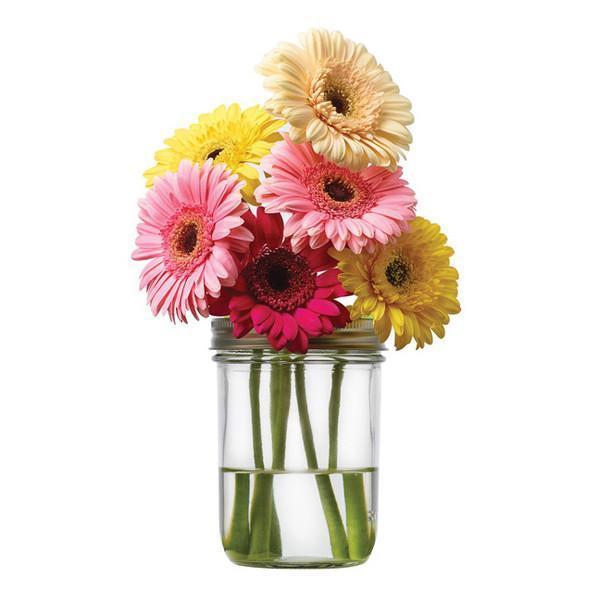 Jarware flower frog lid shown on a plain wide mouth pint jar with pink and yellow flowers.