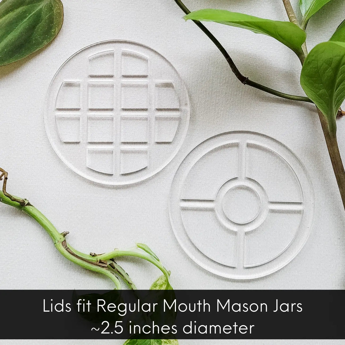 Leaf &amp; Node Mason Jar Lid Inserts - Plant Propagation and Flower Vase | Combo Packs with 1 Grid &amp; 1 Bullseye Lid