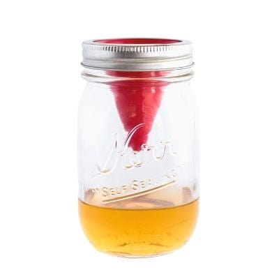 Photo of a mason jar with fruit fly trap.