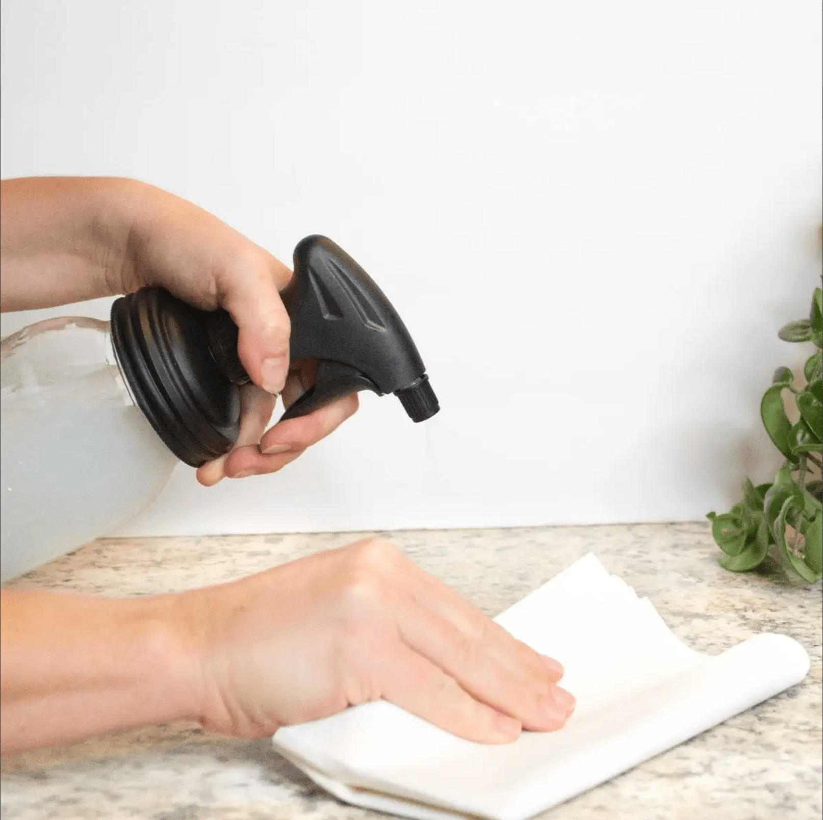 Woman using a mason jar with black spray bottle lid to spray and clean a table with a tissue on the other hand.