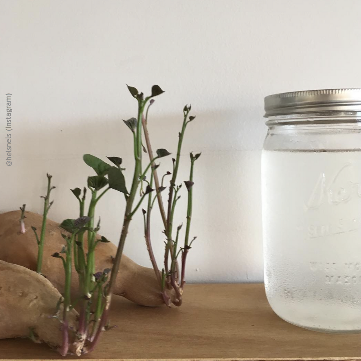 A Kerr wide mouth quart mason jar with self-sealing logo on top of a table and there&#39;s a plant beside it